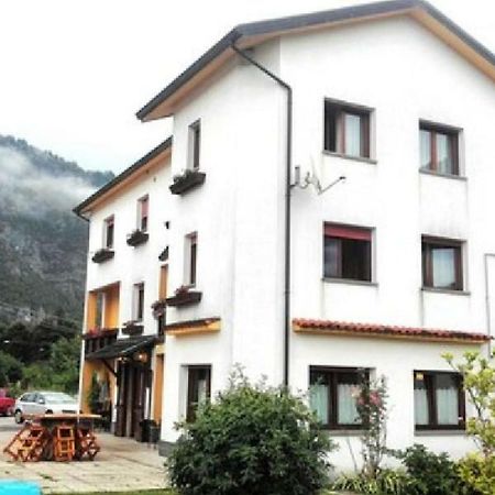 Albergo Alla Pineta Villa Santina Zewnętrze zdjęcie