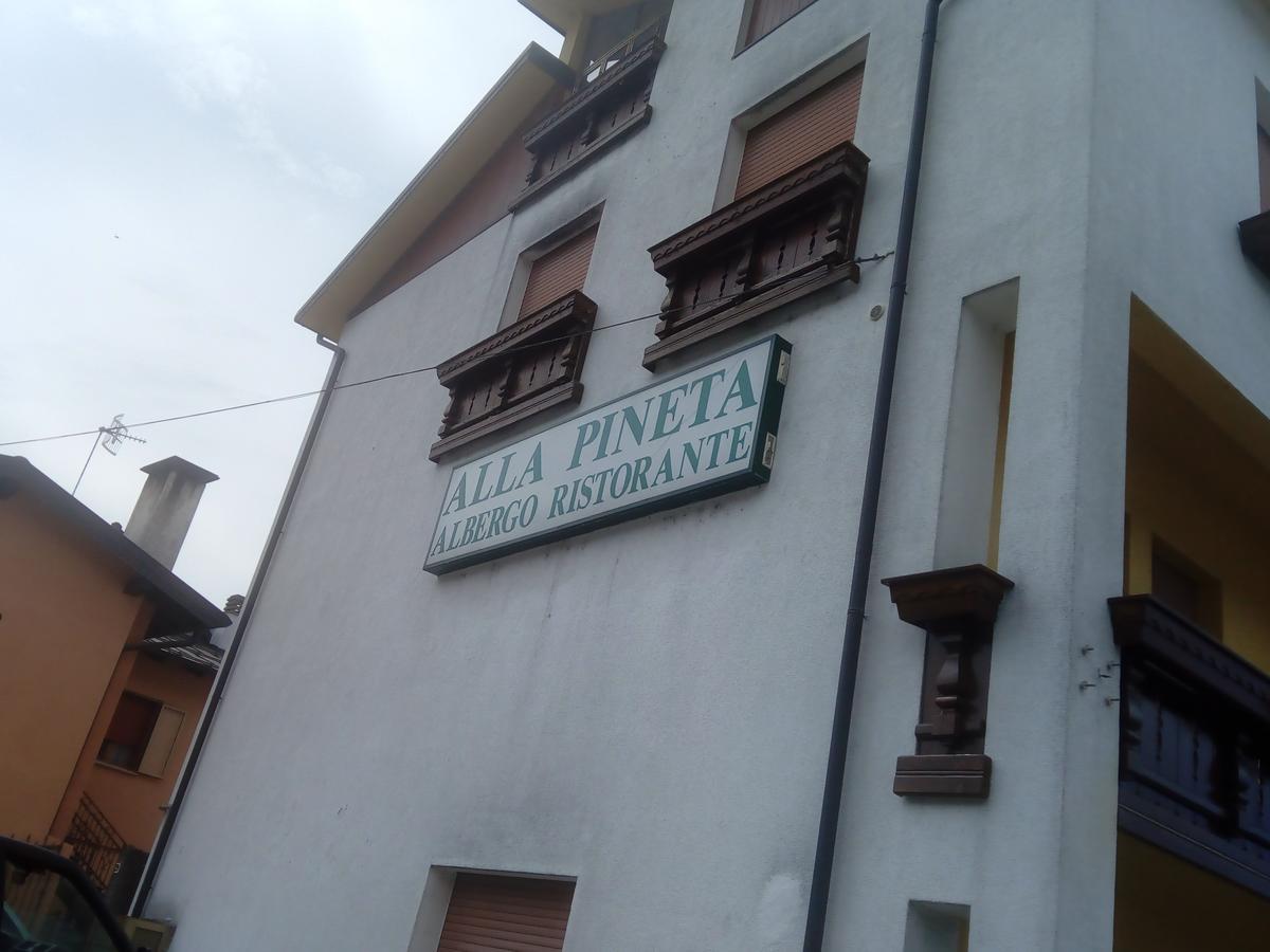 Albergo Alla Pineta Villa Santina Zewnętrze zdjęcie