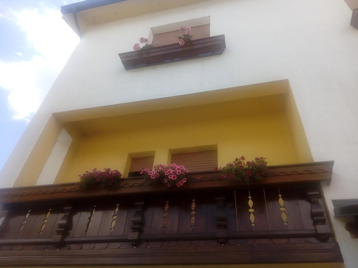 Albergo Alla Pineta Villa Santina Zewnętrze zdjęcie