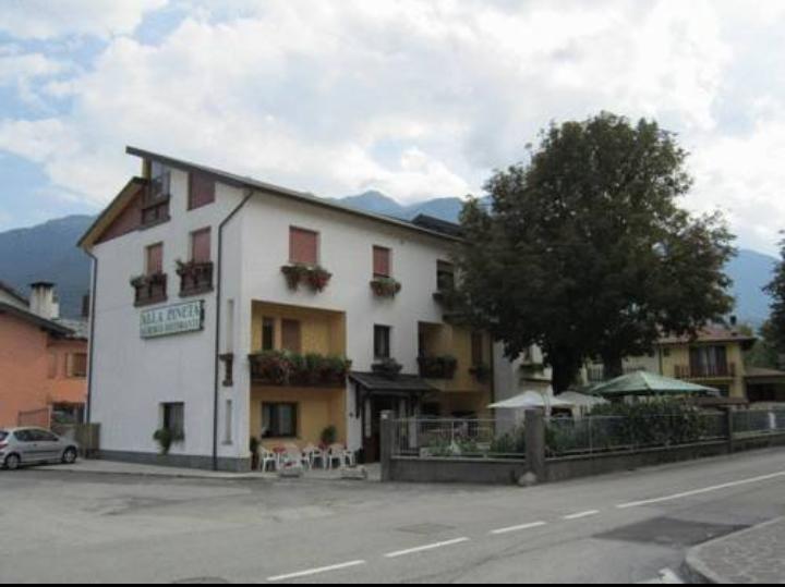 Albergo Alla Pineta Villa Santina Zewnętrze zdjęcie
