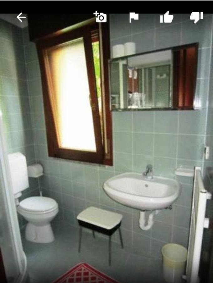 Albergo Alla Pineta Villa Santina Zewnętrze zdjęcie